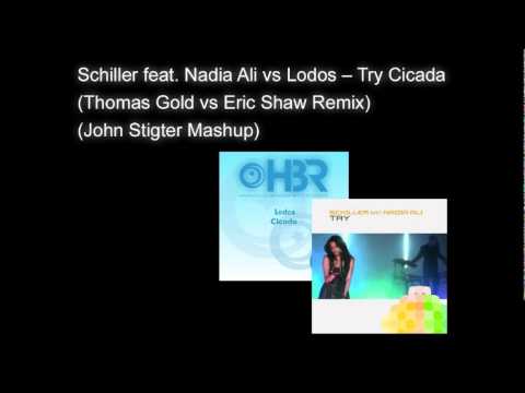 Schiller feat  Nadia Ali vs Lodos – Try Cicada Thomas Gold vs Eric Shaw Remix John Stigter Mashup