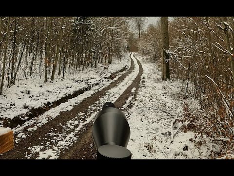 2 tägige Drückjagd im Schnee #1 - Jagderfolg an beiden Tagen!
