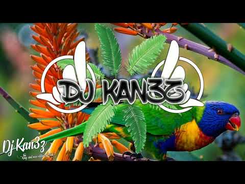 ADONG X DJ KAN3Z - Dyewor ( RMX kompa)