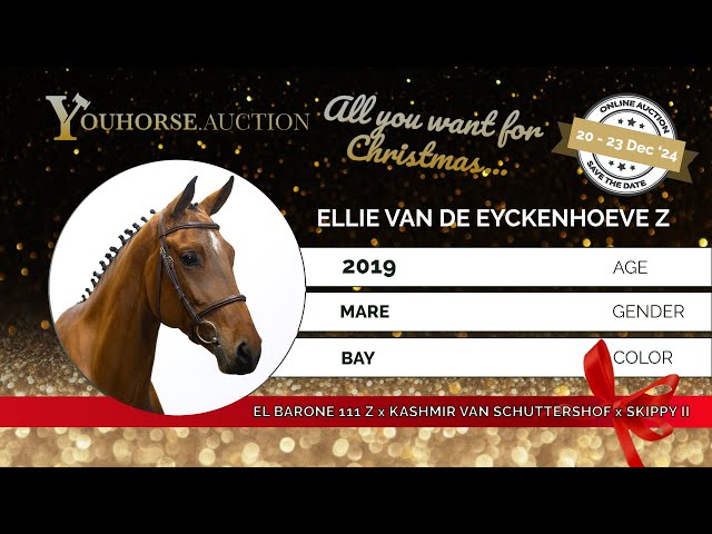 Ellie vd Eyckenhoeve Z
