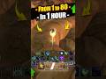 1 80 In 1 HOUR Leveling Exploit Guide WoW TWW