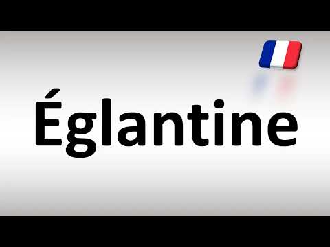 How to Pronounce Eglantine? (French)
