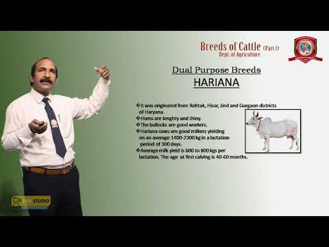 , title : 'Agriculture | Breeds of Cattle Part-1 | Dr. Dinesh Singh | Svn University'