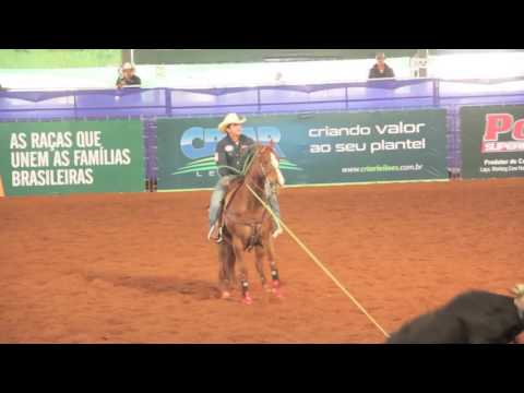 RAFAEL PAOLIELLO NACIONAL ABQM  2016