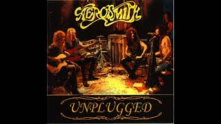 Aerosmith MTV UNPLUGGED 11 Walkin' The Dog