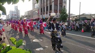 踊り陣　叶和　銭形よさこい2026はれはれ会場