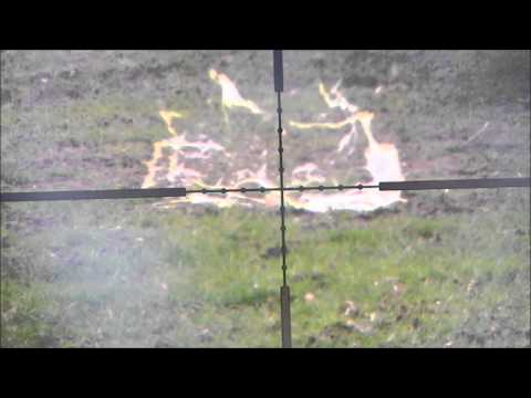 Shooting an Egg with Weihrauch HW99s