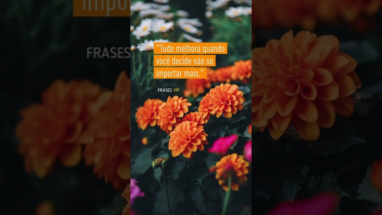 Tudo melhora quando você decide não se importar mais.