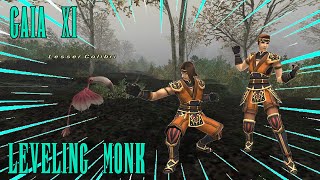 FFXI: GaiaXI - How do I Play MNK!?