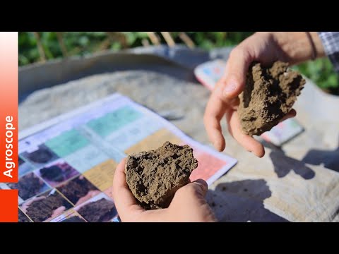 Visual Evaluation of Soil Structure - VESS method