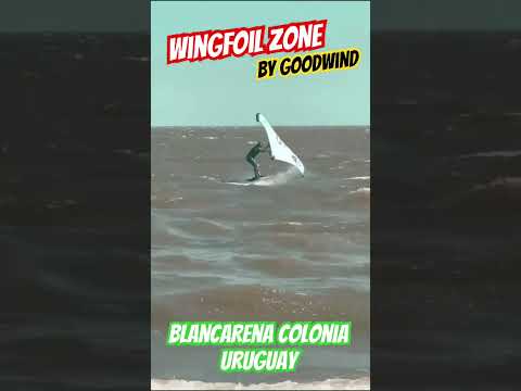Blancarena Beach Club Colonia Uruguay #goodwindneverstop #wingfoil #uruguay