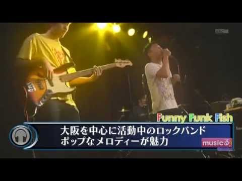 Funny Funk Fish musicるTV@KANSAI