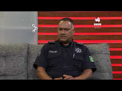 Así puede evitar la compra de un auto clonado