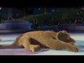 Disney Cinemagic Spain DESTINO DISNEY CINEMAGIC Promo Long