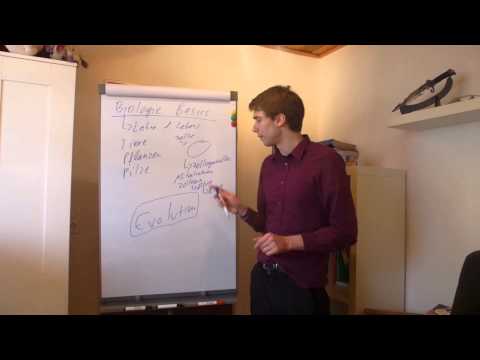 Biologie - Basics (Grundwissen)