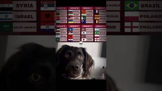 Download lagu Grup neraka Piala Dunia 2026 💀 #edit #tren #celanapendeksepakbola mp3 Download lagu Grup neraka Piala Dunia 2026 💀 #edit #tren #celanapendeksepakbola mp3