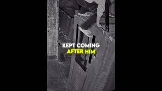 this guy turned a horror escape room into a parkour course 😍🏃 #usa thumbnail