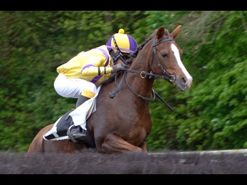 70e Gala des Courses - TURFCOM - Les jeunes et les poneys