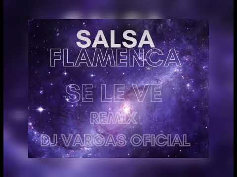TEMAS DJ VARGAS OFICIAL " SE LE VE " REMIX
