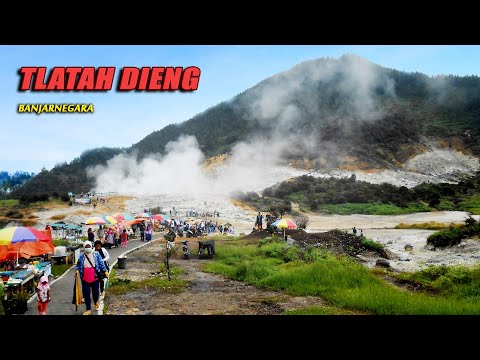 download lagu mp3 mp4 FiXT 2008 Promo Compilation V 98 CD TNC, download mp3 FiXT 2008 Promo Compilation V 98 CD TNC free downloadn, video klip FiXT 2008 Promo Compilation V 98 CD TNC