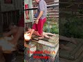#FireMassage Will Blow Your Mind and Melt Your Stress Away #asmr #massage #healing #shorts #wellness