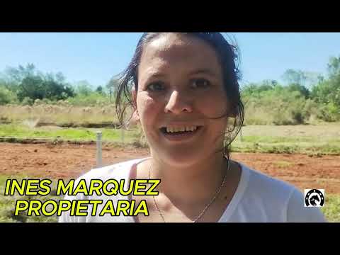 FURIOSA-HÍPICO LOS AMIGOS SAN JAVIER 19-4-26