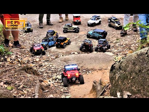 RC Car Team Trail - Forest Rock Crawling(TRX4, SCX10 II, RC4WD, BRX02, MST-CMX, Vanquish)
