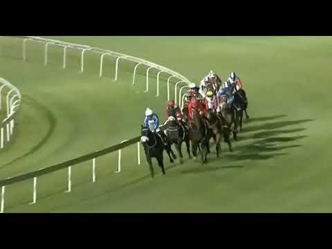 SAFE PASSAGE - 2022 World Sports Betting Gauteng Guineas