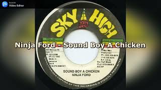 Ninja Ford - Sound Boy A Chicken