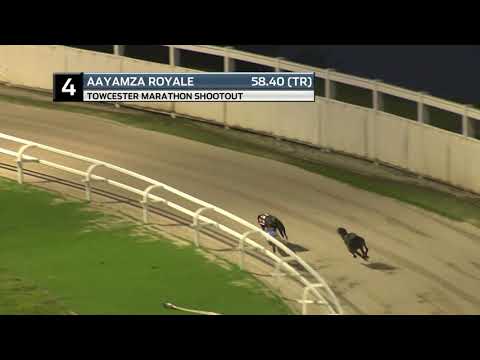 2021 TOWCESTER MARATHON SHOOTOUT - T4 AAYAMZA ROYALE