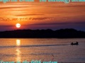 Tangerine Dream-The anthology decades 2008-Sunset In The Fifth System