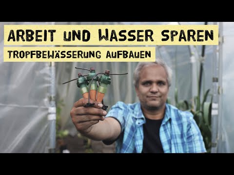 This irrigation system works so simply and ingeniously. Setup and function of the Blumat irrigati...