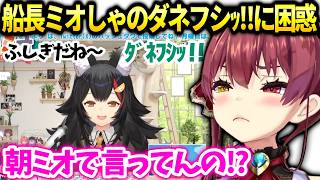 マリン船長ミオしゃのダネフシッが流行ってる事に爆笑【宝鐘マリン/ホロライブ切り抜き】