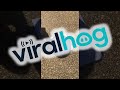 Eclipse And Pinhole Effect Create Crescent-Shaped Shadows || ViralHog