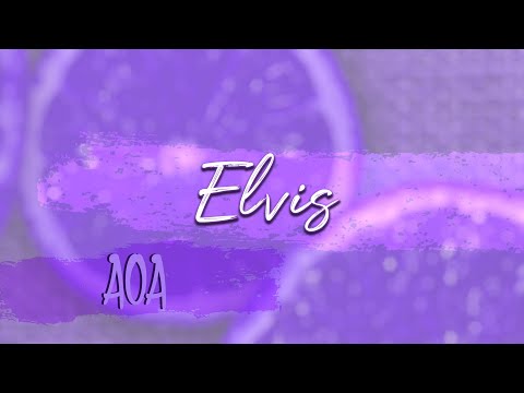 [SHORT COVER] AOA - ELVIS