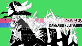 Cover art for Kannabis Kultivation