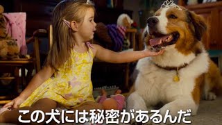 映画『僕のワンダフル・ジャーニー』予告編