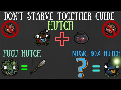 Don't Starve Together Guide: Hutch