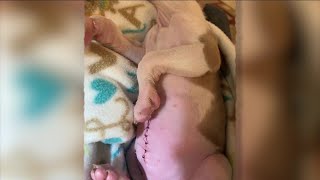 Weld County mom says she was scammed after buying puppy on Craigslist