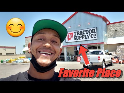 YouTube video about: Can dogs go into tractor supply?