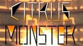 【13未鳥6曲】CITRUS MONSTER RankSSS手元 【CHUNITHM】