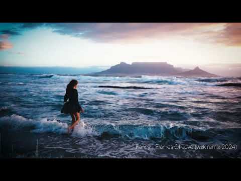 Fancy - Flames Of Love (wzk remix)