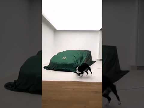 Thumbnail for lamborghini by Lamborghini Estoque