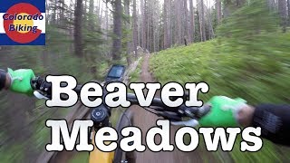 Overview of the entire Beaver Meadows system