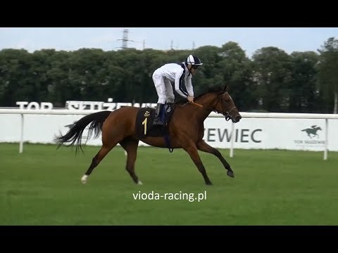 Gon. VI - 6.08.2017 - Sheblat Al Khalediah (Nayef Al Khalidiah - Mayasah Al Khalediah)