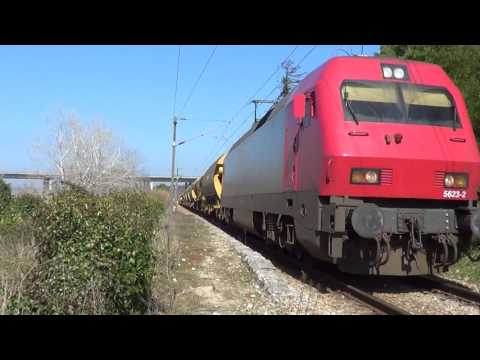 Comboio nº 50366 - Linha do Oeste