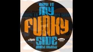 Daniele Baldelli BACK TO MY FUNKY SIDE Album preview