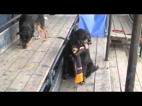 DIL19 240116 - SERRA RICCO' - MOCONESI 1-1 | PROMOZIONE B