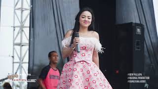 Download lagu Camel community official 2019 - Cemara biru _ Siska valentina mp3 Download lagu Camel community official 2019 - Cemara biru _ Siska valentina mp3