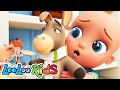 My Donkey Has A Headache Official Video LooLoo Kids Nursery Rhymes Kids Songs